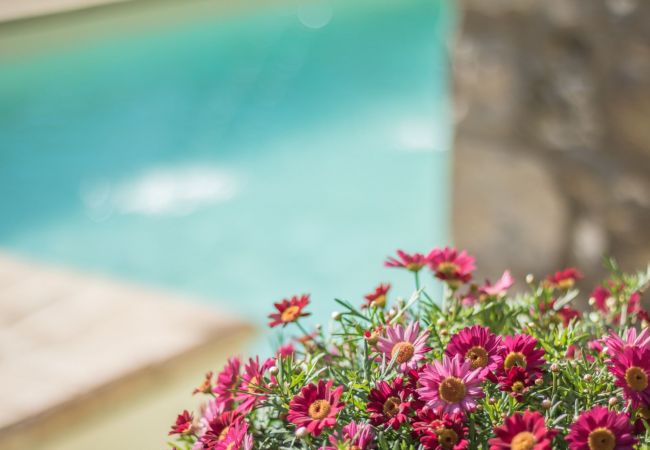 Appartamento a Bolsena - Il Casale del Sughereto - appartamento in villa da sogno con piscina Appartamento a Bolsena - Il Casale del Sughereto - appartamento in villa da sogno con piscina