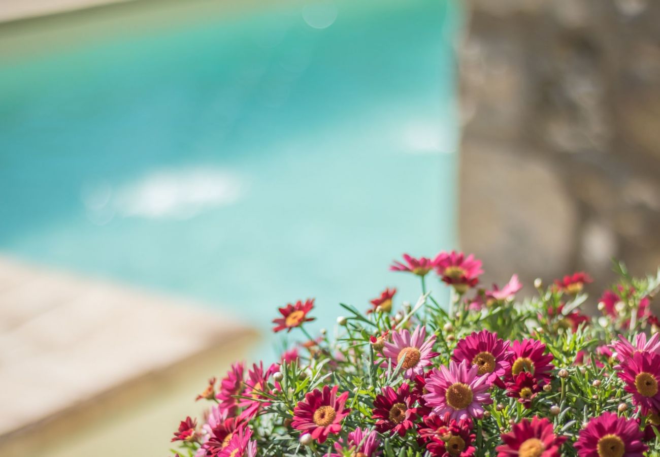 Appartamento a Bolsena - Il Casale del Sughereto - appartamento in villa da sogno con piscina Appartamento a Bolsena - Il Casale del Sughereto - appartamento in villa da sogno con piscina