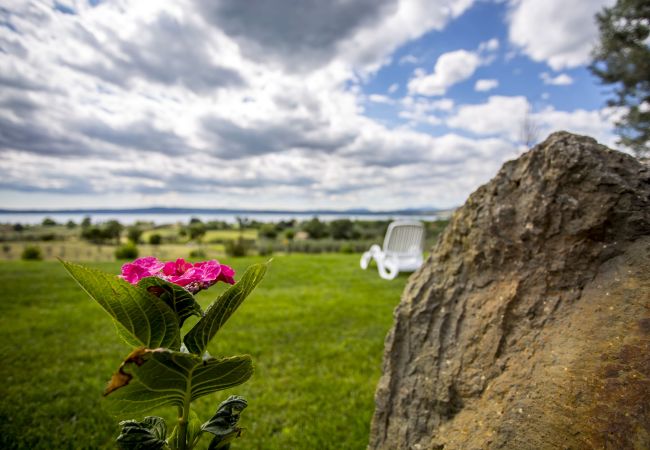 Appartamento a Bolsena - Parco di Canuleio - Casa Verde Appartamento a Bolsena - Parco di Canuleio - Casa Verde