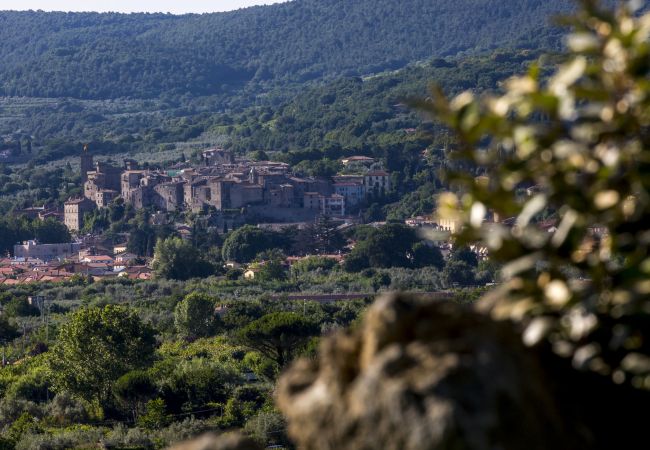 Appartamento a Bolsena - Parco di Canuleio - Casa Verde Appartamento a Bolsena - Parco di Canuleio - Casa Verde