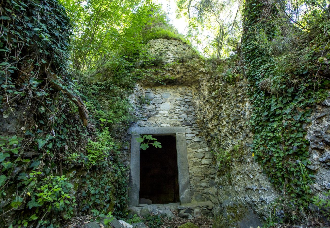 Appartamento a Bolsena - Parco di Canuleio - Casa Verde Appartamento a Bolsena - Parco di Canuleio - Casa Verde