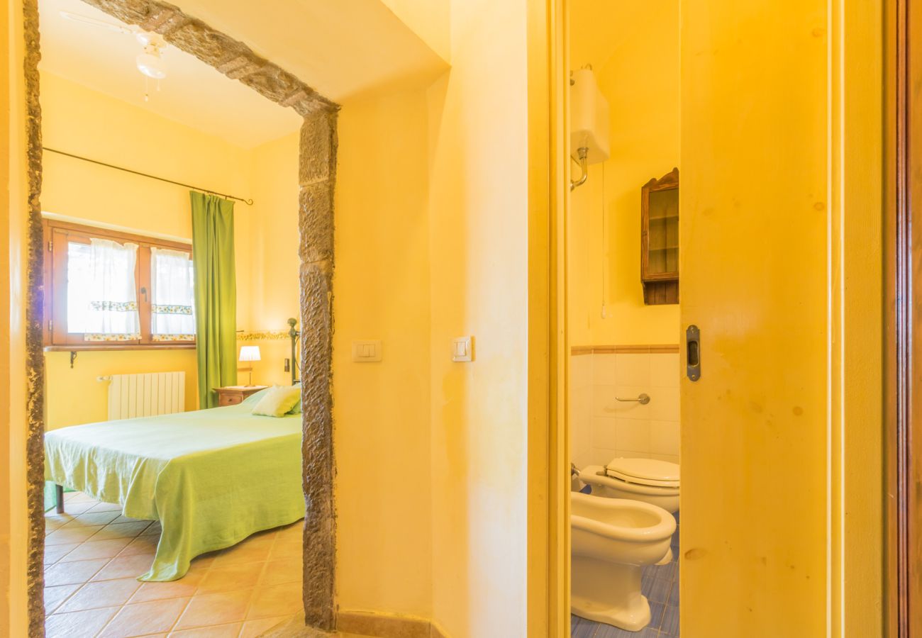 Appartamento a Viterbo - Agriturismo Tenuta Serpepe - Fiordaliso Grande