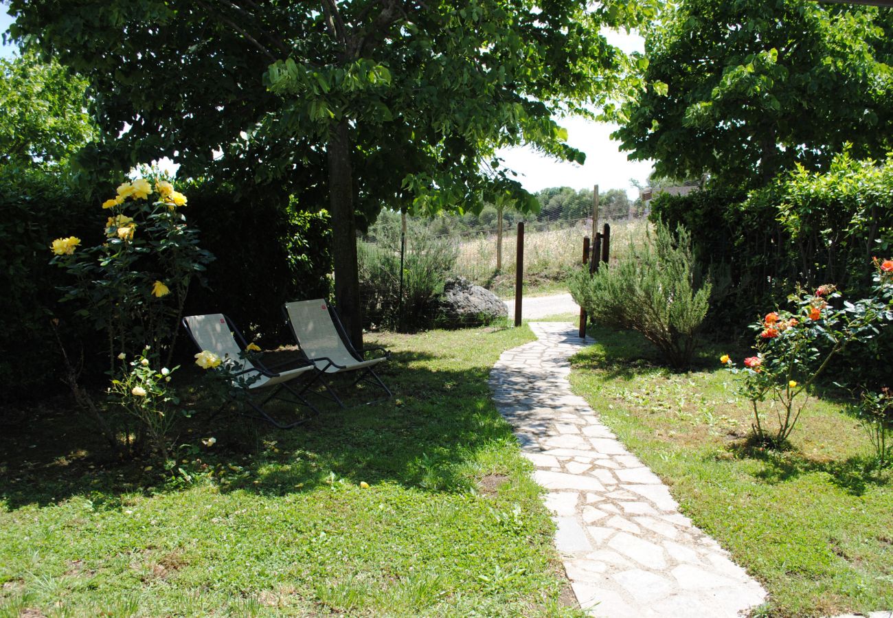 Appartamento a Viterbo - Agriturismo Tenuta Serpepe - Fiordaliso Grande