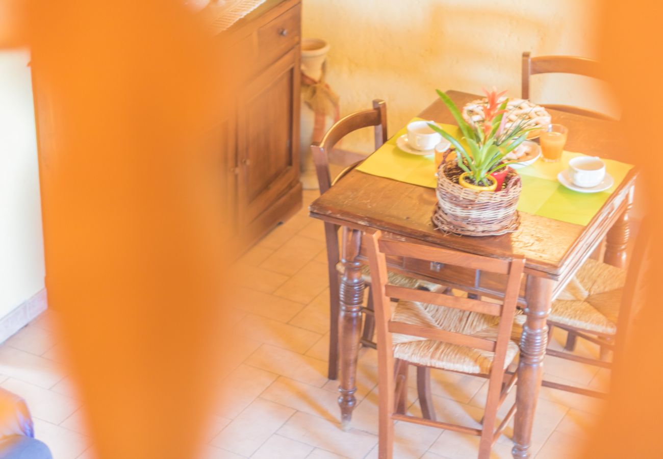 Appartamento a Viterbo - Agriturismo Tenuta Serpepe - Girasole