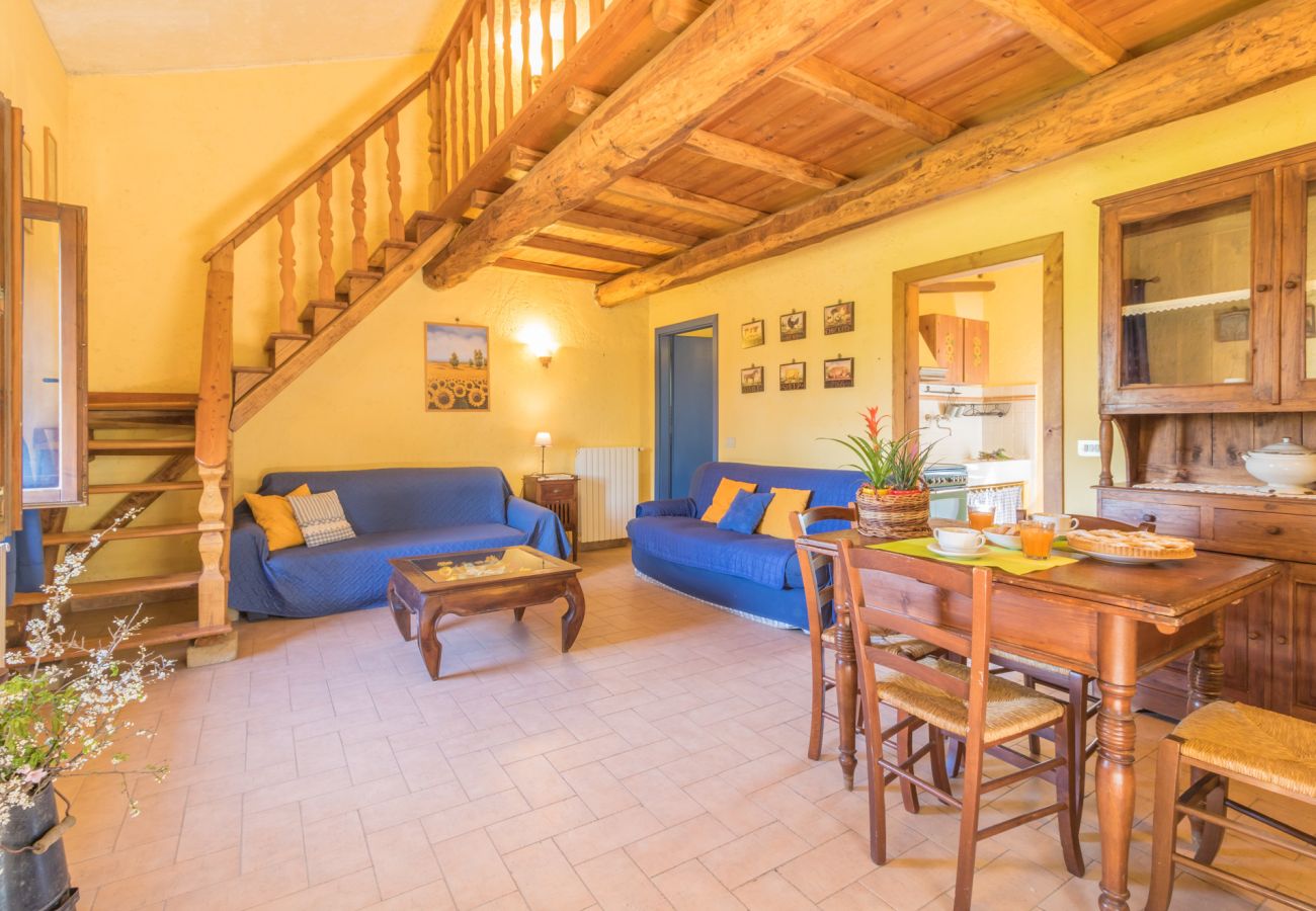 Appartamento a Viterbo - Agriturismo Tenuta Serpepe - Girasole