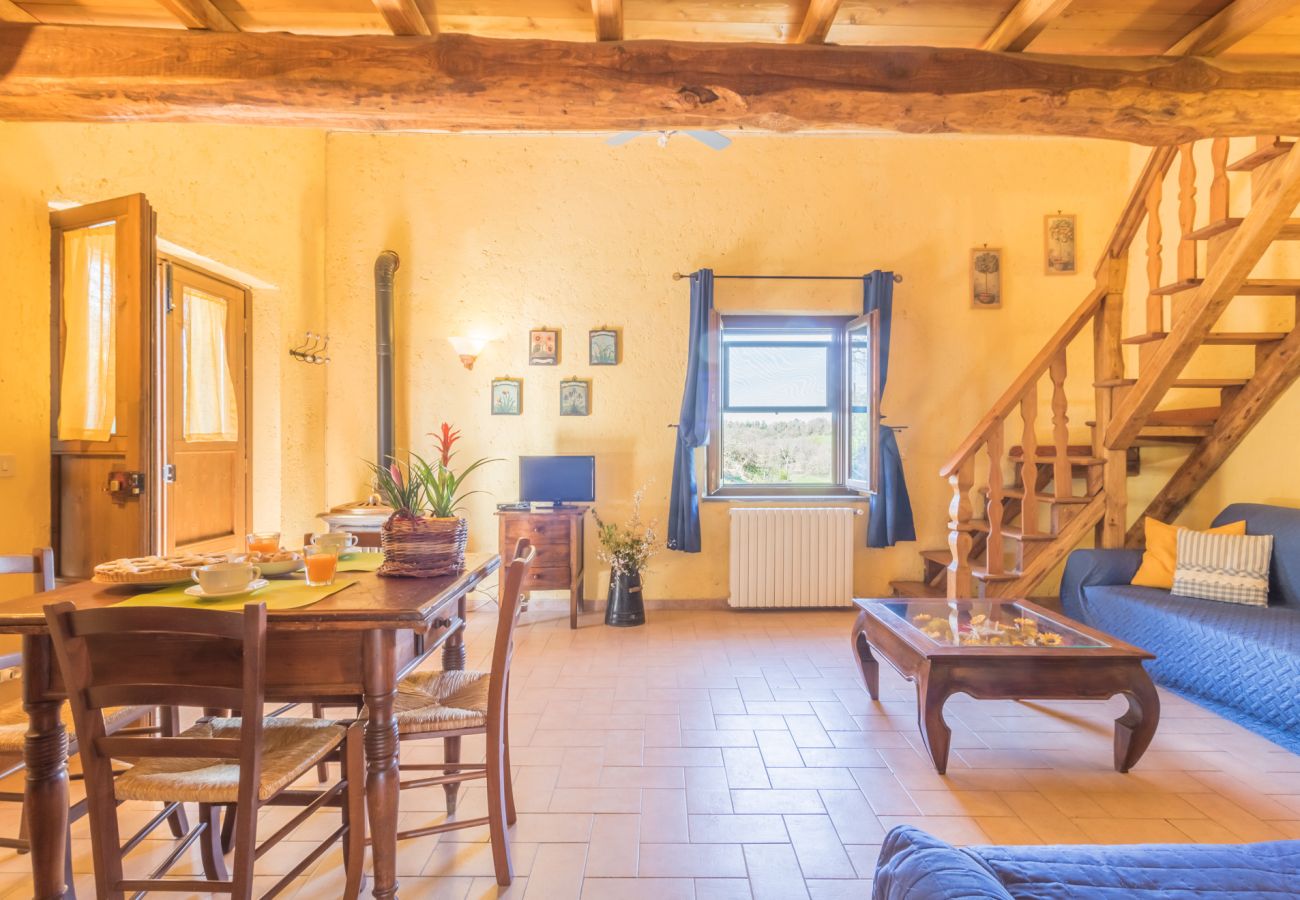 Appartamento a Viterbo - Agriturismo Tenuta Serpepe - Girasole