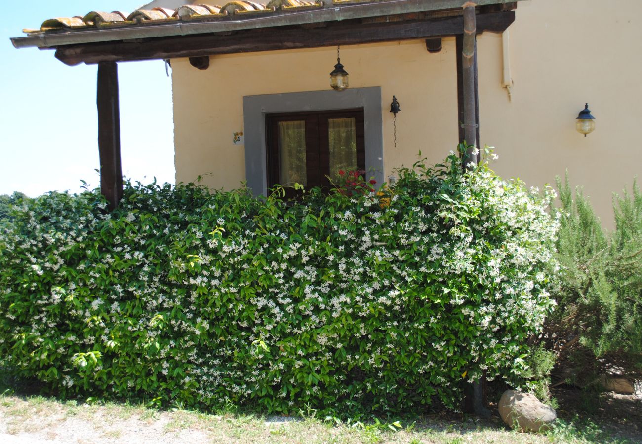 Appartamento a Viterbo - Agriturismo Tenuta Serpepe - Girasole