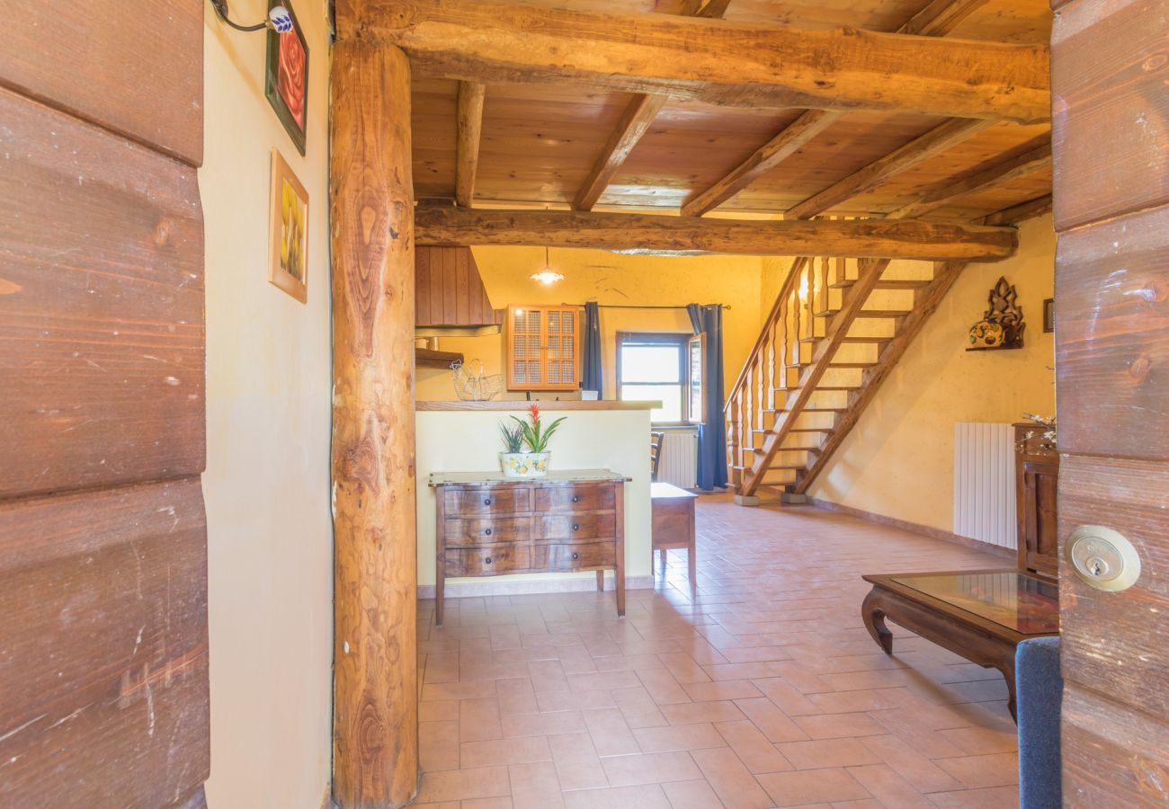 Appartamento a Viterbo - Agriturismo Tenuta Serpepe - Grano