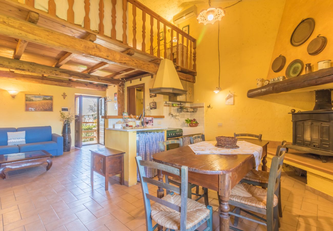 Appartamento a Viterbo - Agriturismo Tenuta Serpepe - Grano