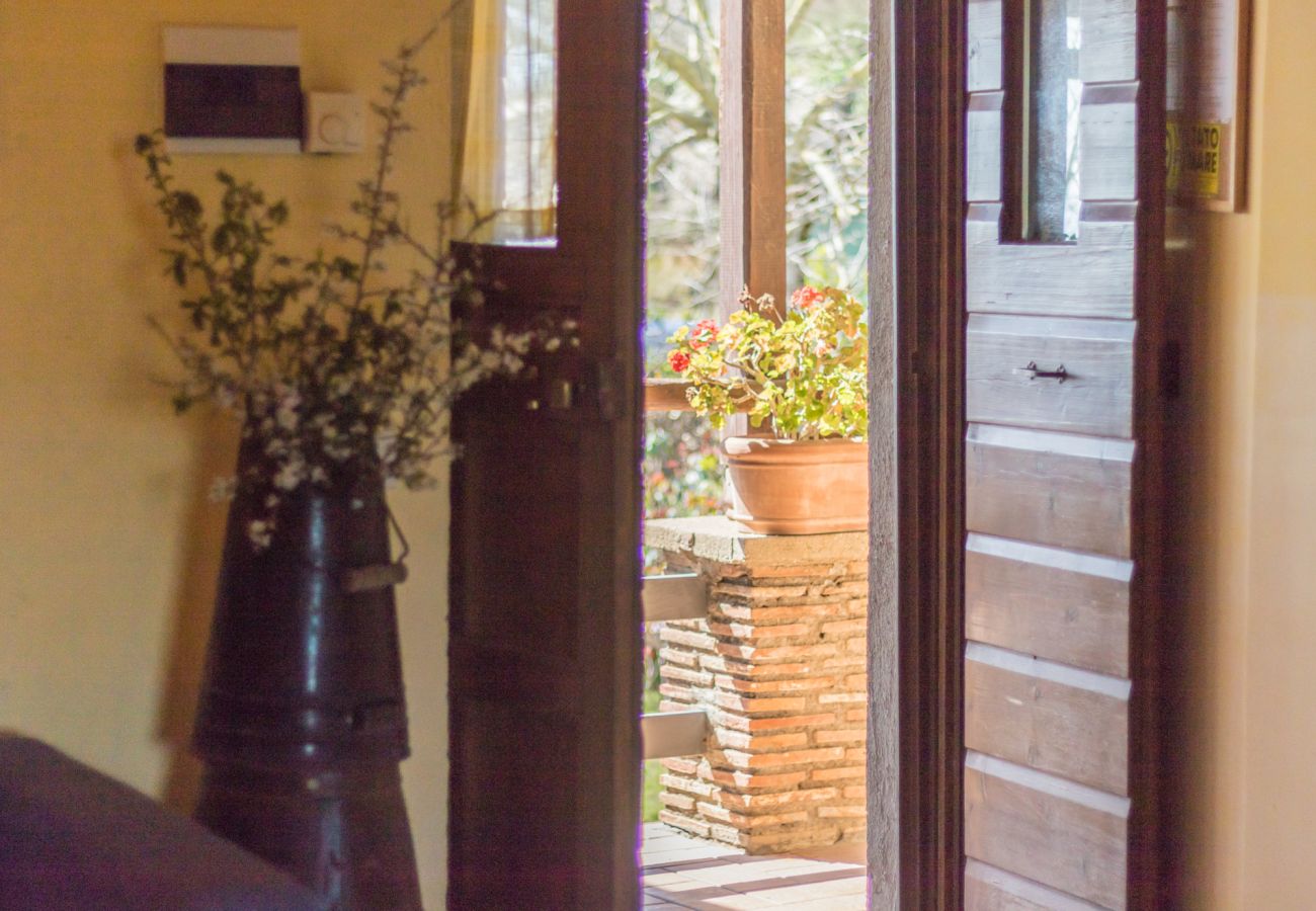 Appartamento a Viterbo - Agriturismo Tenuta Serpepe - Grano