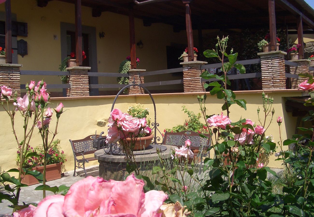 Appartamento a Viterbo - Agriturismo Tenuta Serpepe - Grano