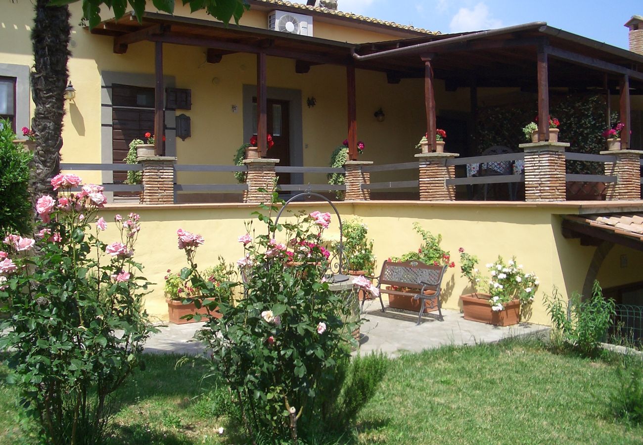 Appartamento a Viterbo - Agriturismo Tenuta Serpepe - Grano