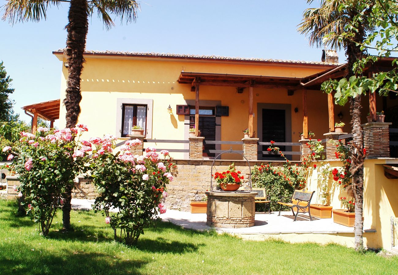 Appartamento a Viterbo - Agriturismo Tenuta Serpepe - Grano