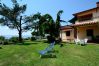 Ferienwohnung in Bolsena - Ferienhaus Biene- FeWo Regina Ferienwohnung in Bolsena - Ferienhaus Biene- FeWo Regina