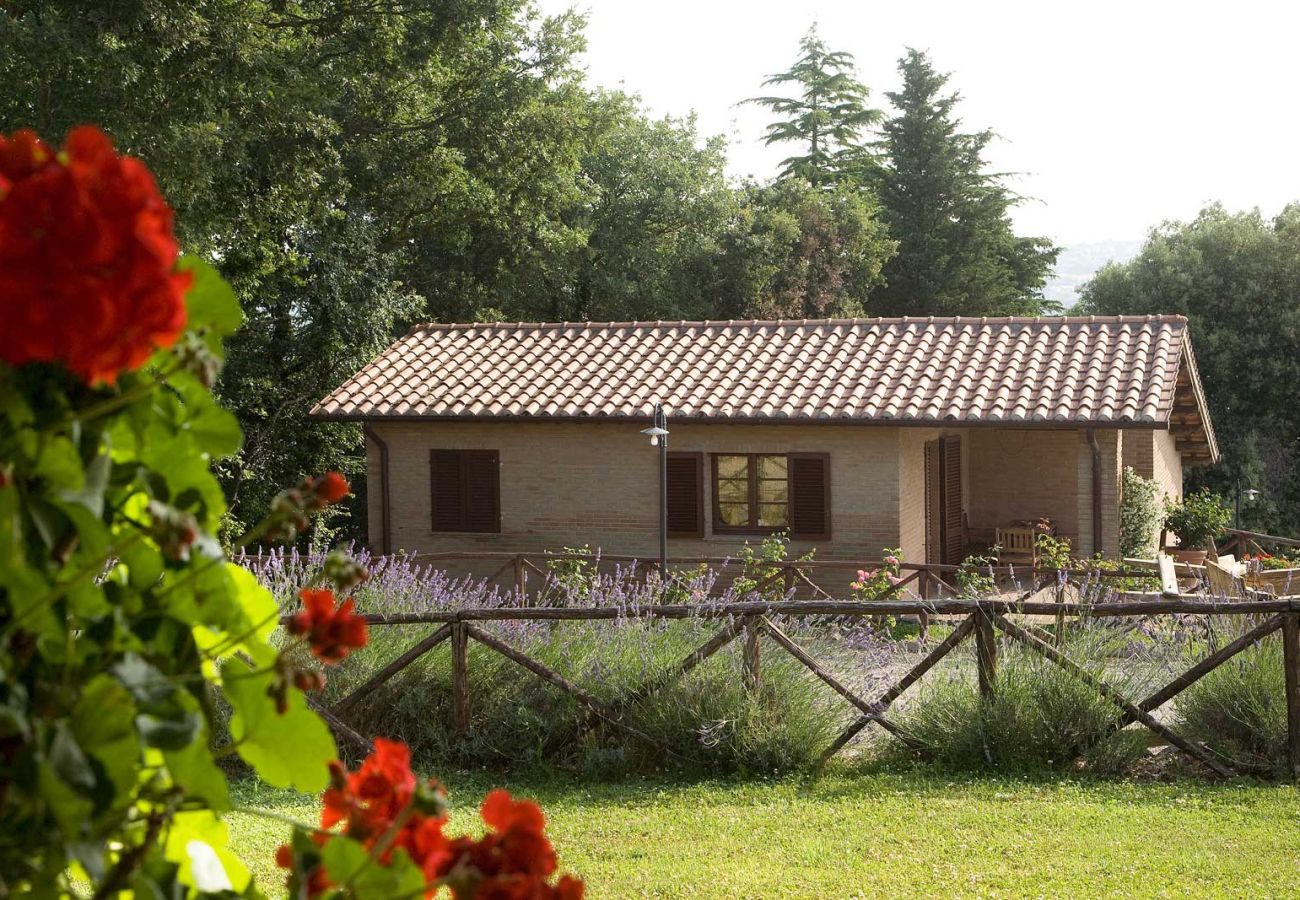 Ferienwohnung in Montefiascone - Agriturismo Montedoro - Casa Oliveto