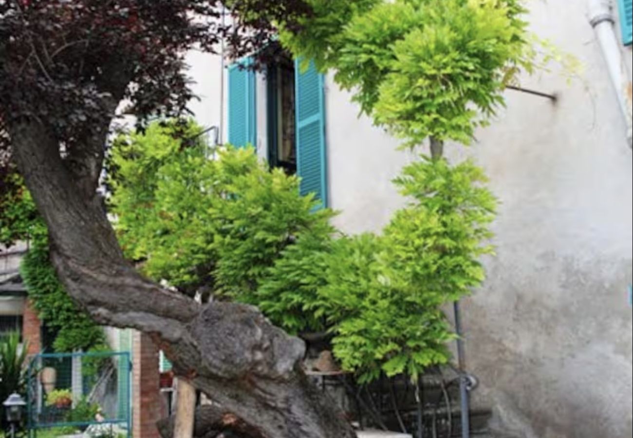Ferienwohnung in Bolsena - The Garden Of History