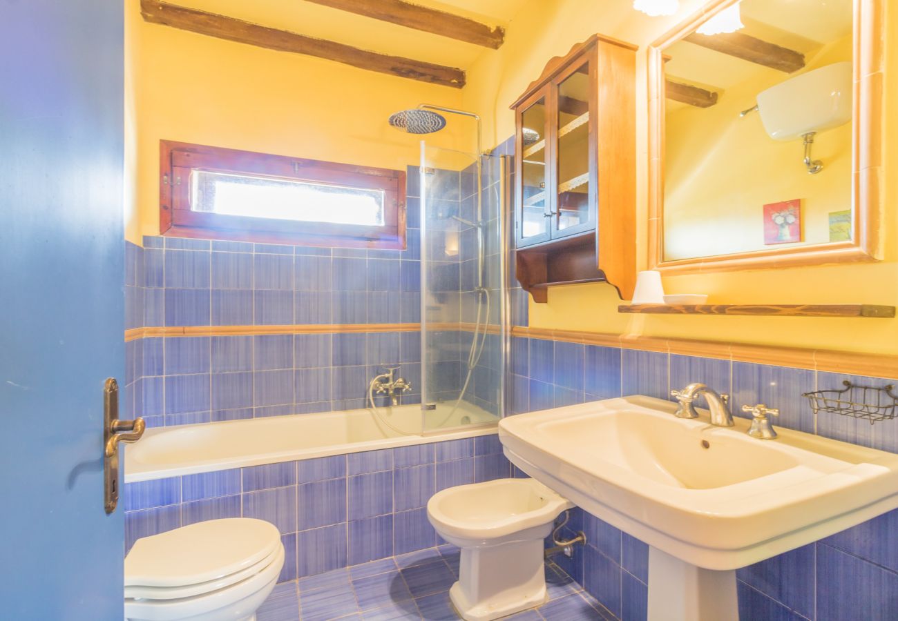 Ferienwohnung in Viterbo - Agriturismo Tenuta Serpepe - Girasole