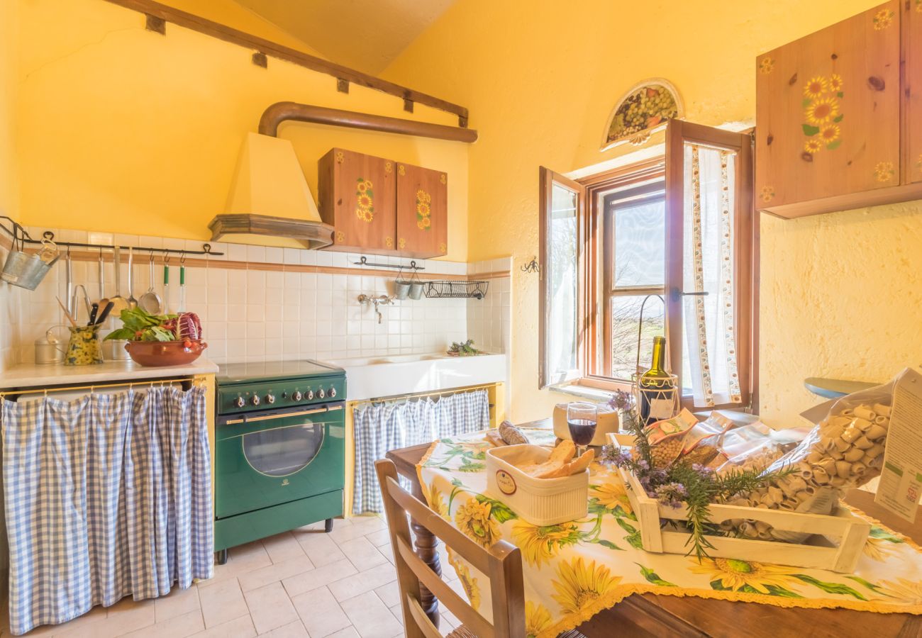Ferienwohnung in Viterbo - Agriturismo Tenuta Serpepe - Girasole