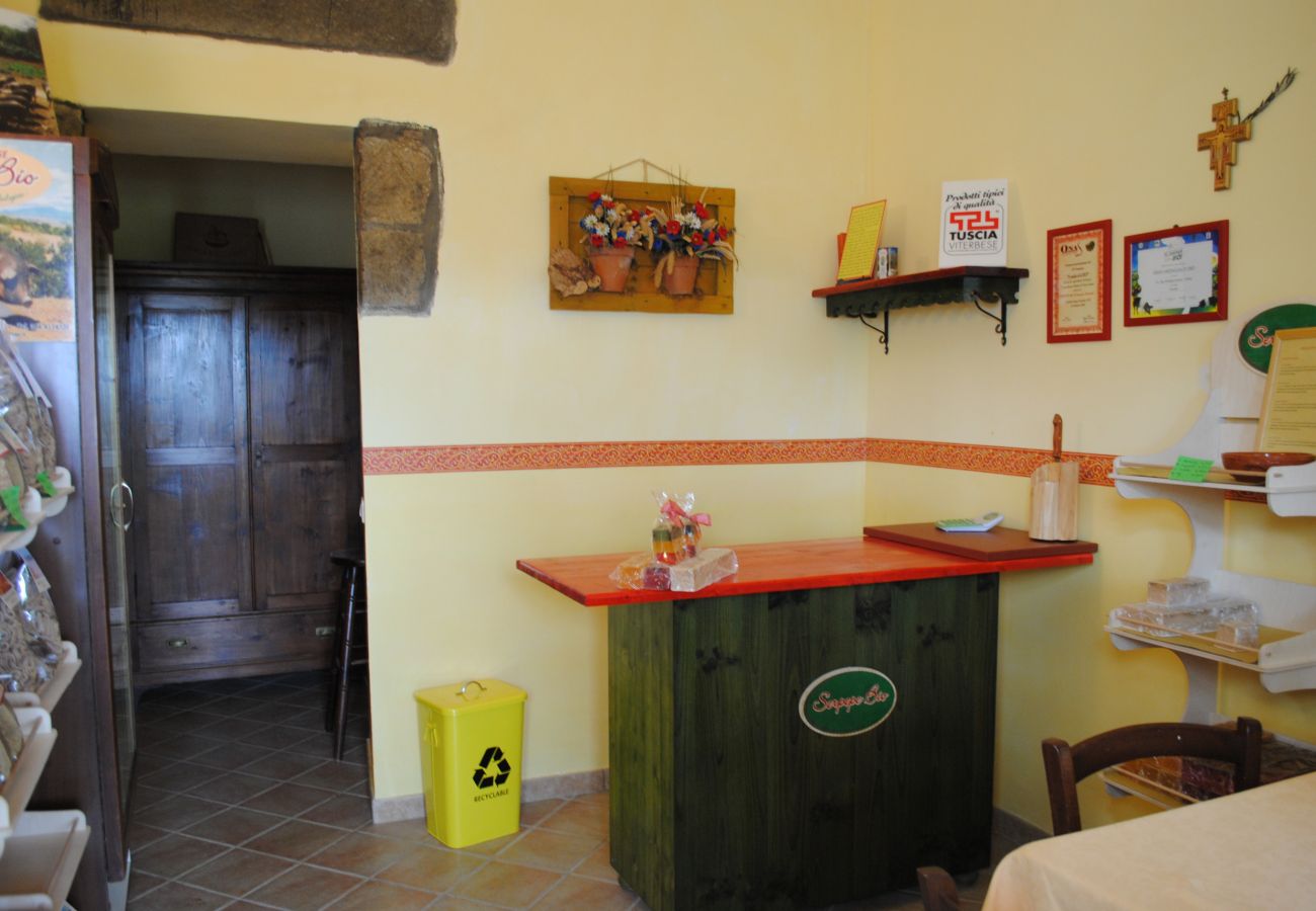Ferienwohnung in Viterbo - Agriturismo Tenuta Serpepe - Girasole