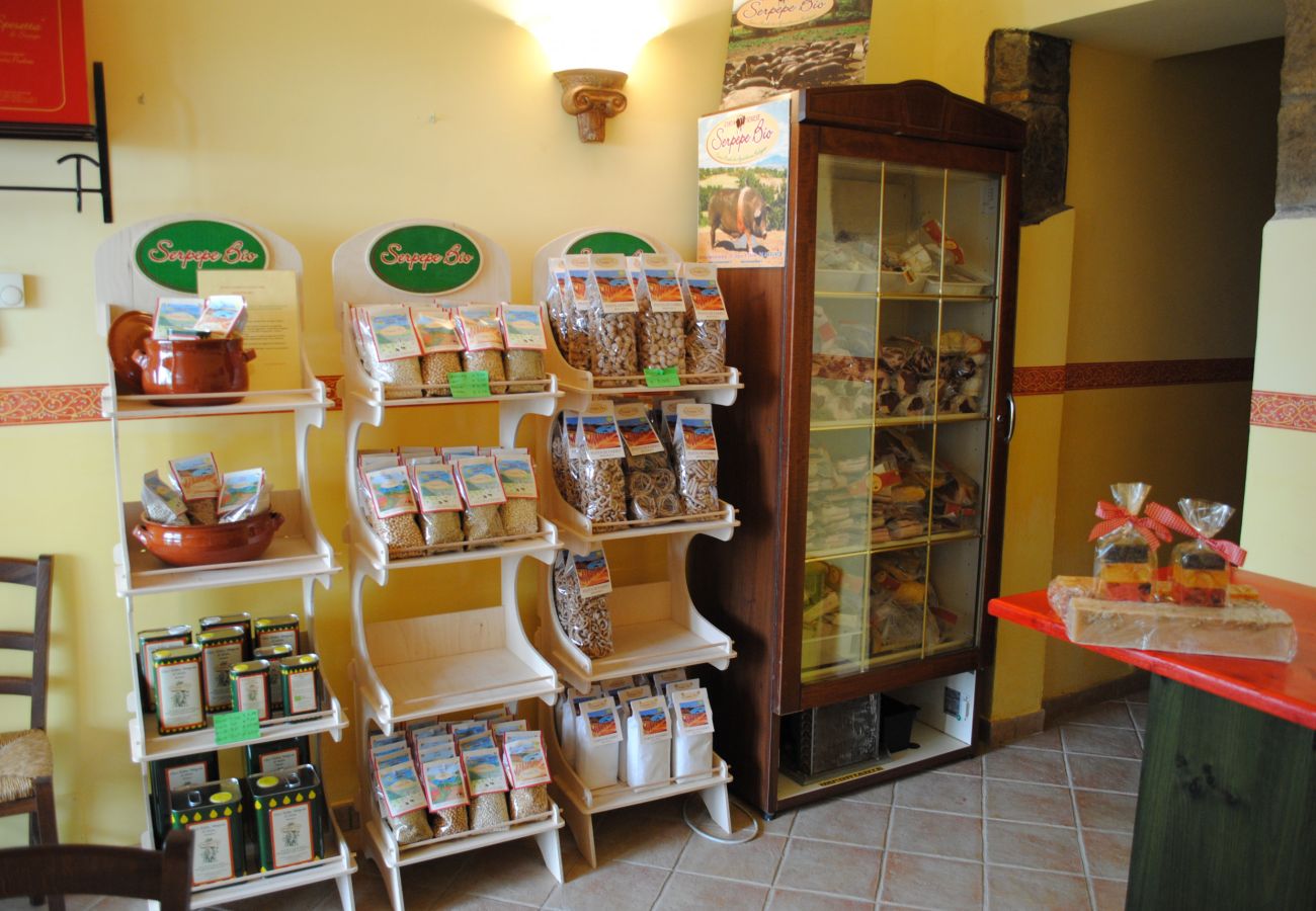 Ferienwohnung in Viterbo - Agriturismo Tenuta Serpepe - Girasole