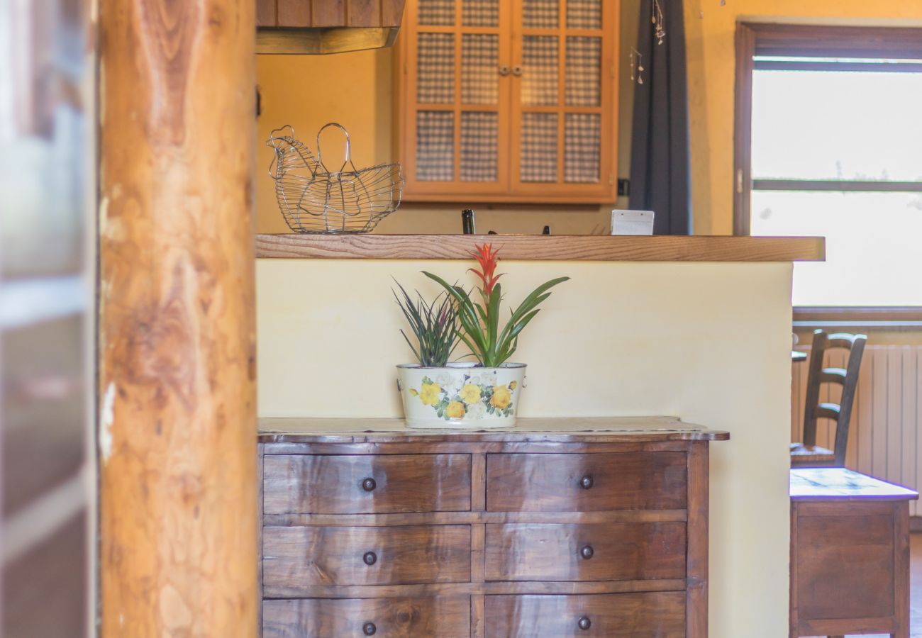 Ferienwohnung in Viterbo - Agriturismo Tenuta Serpepe - Grano