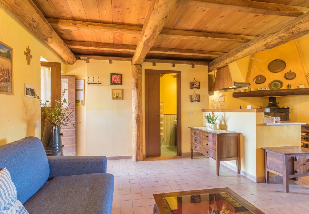 Ferienwohnung in Viterbo - Agriturismo Tenuta Serpepe - Grano