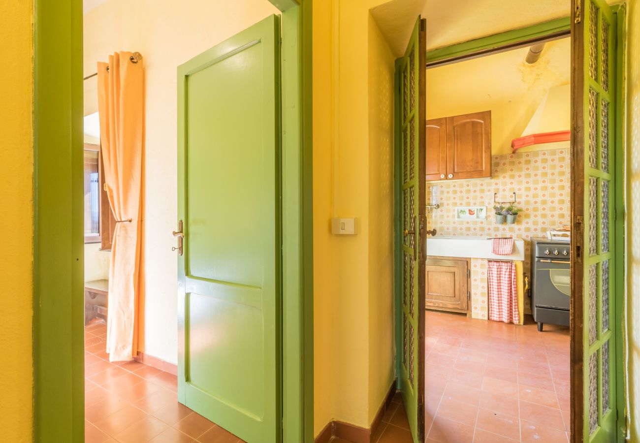 Ferienwohnung in Viterbo - Agriturismo Tenuta Serpepe - Papavero