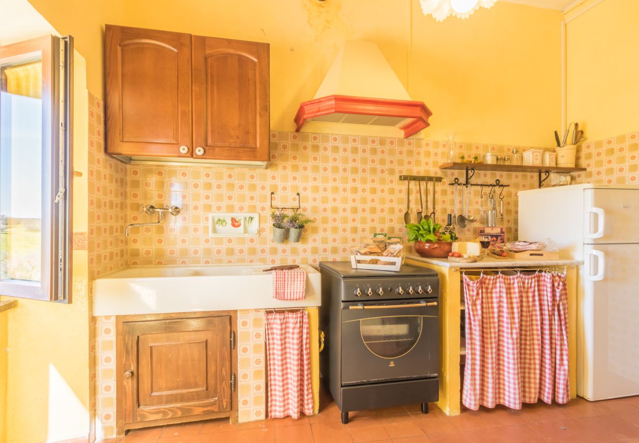 Ferienwohnung in Viterbo - Agriturismo Tenuta Serpepe - Papavero
