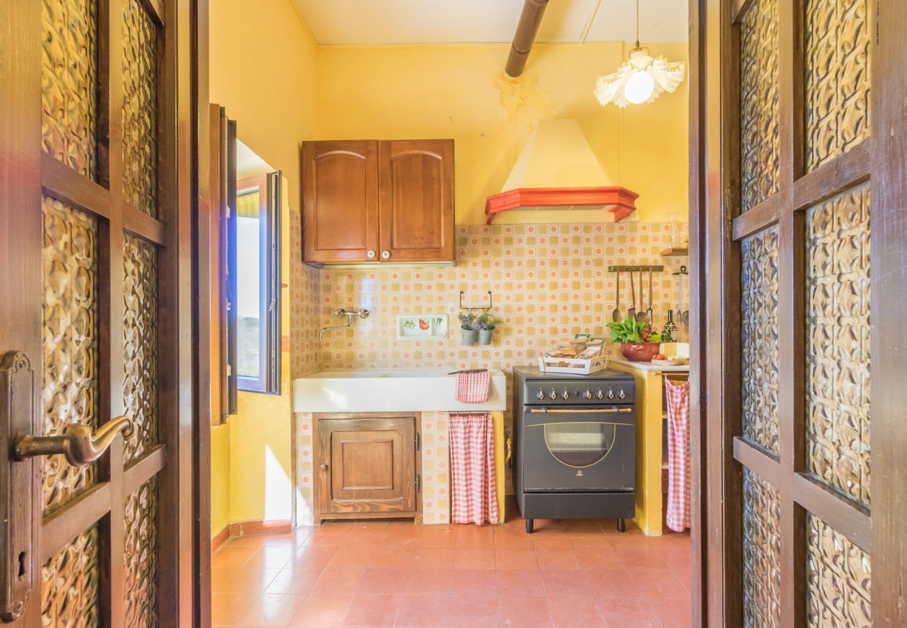 Ferienwohnung in Viterbo - Agriturismo Tenuta Serpepe - Papavero