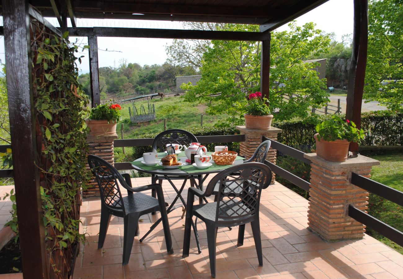 Ferienwohnung in Viterbo - Agriturismo Tenuta Serpepe - Papavero