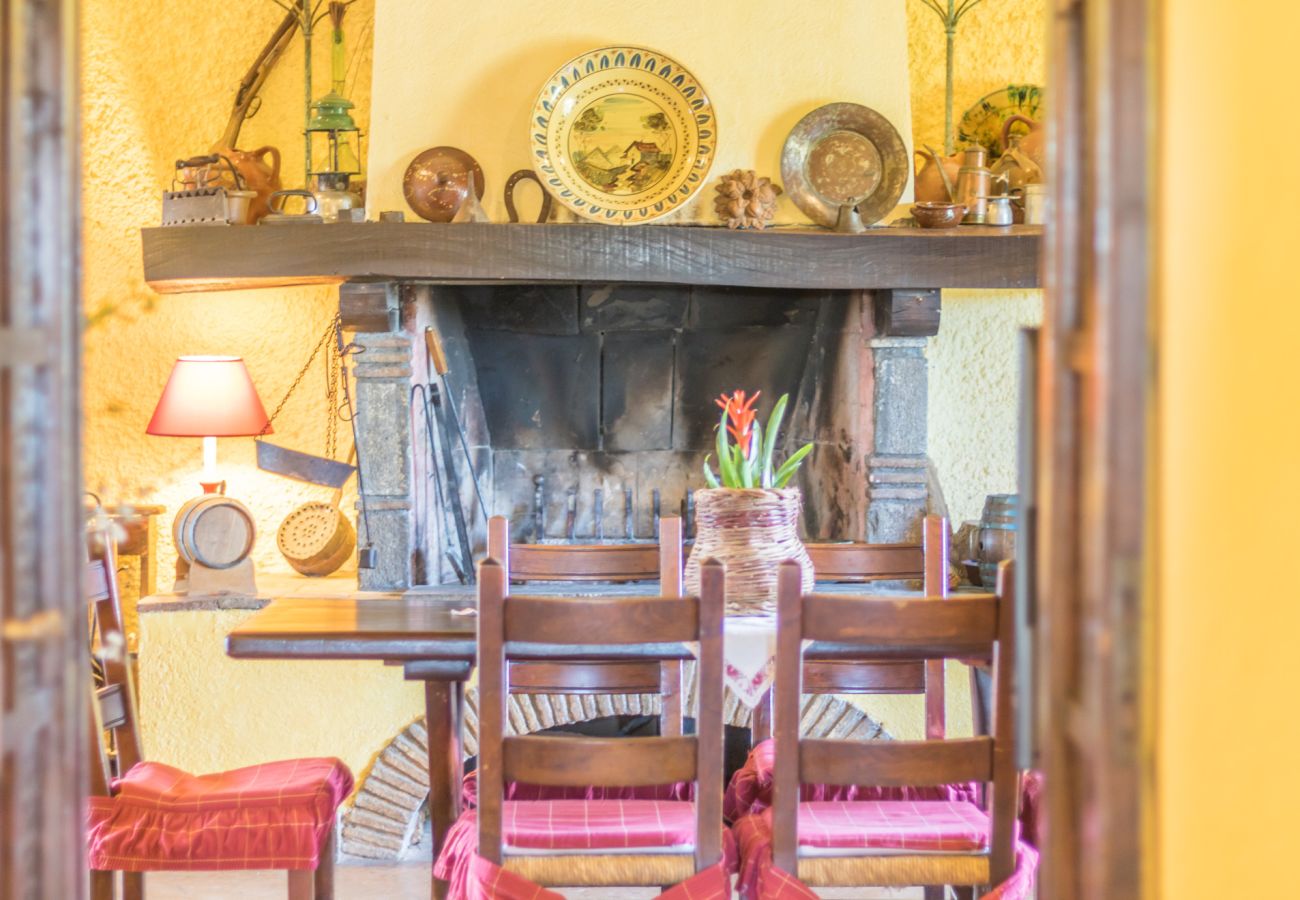 Ferienwohnung in Viterbo - Agriturismo Tenuta Serpepe - Papavero
