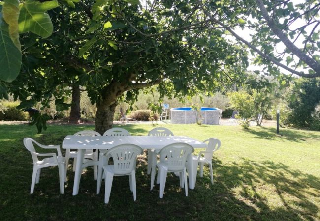 garden with swimmingpool in the country house by Lake Bolsena garden with swimmingpool in the country house by Lake Bolsena