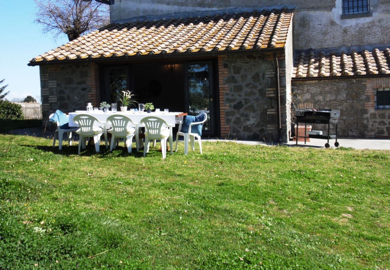 garden of the country house Vallalta in Montefiascone garden of the country house Vallalta in Montefiascone