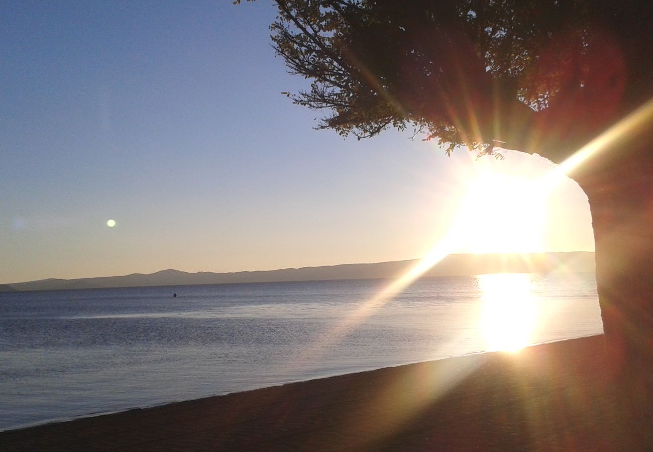 Lake Bolsena Lake Bolsena