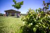 Apartment in Bolsena - Chalet Luna di Miele Apartment in Bolsena - Chalet Luna di Miele