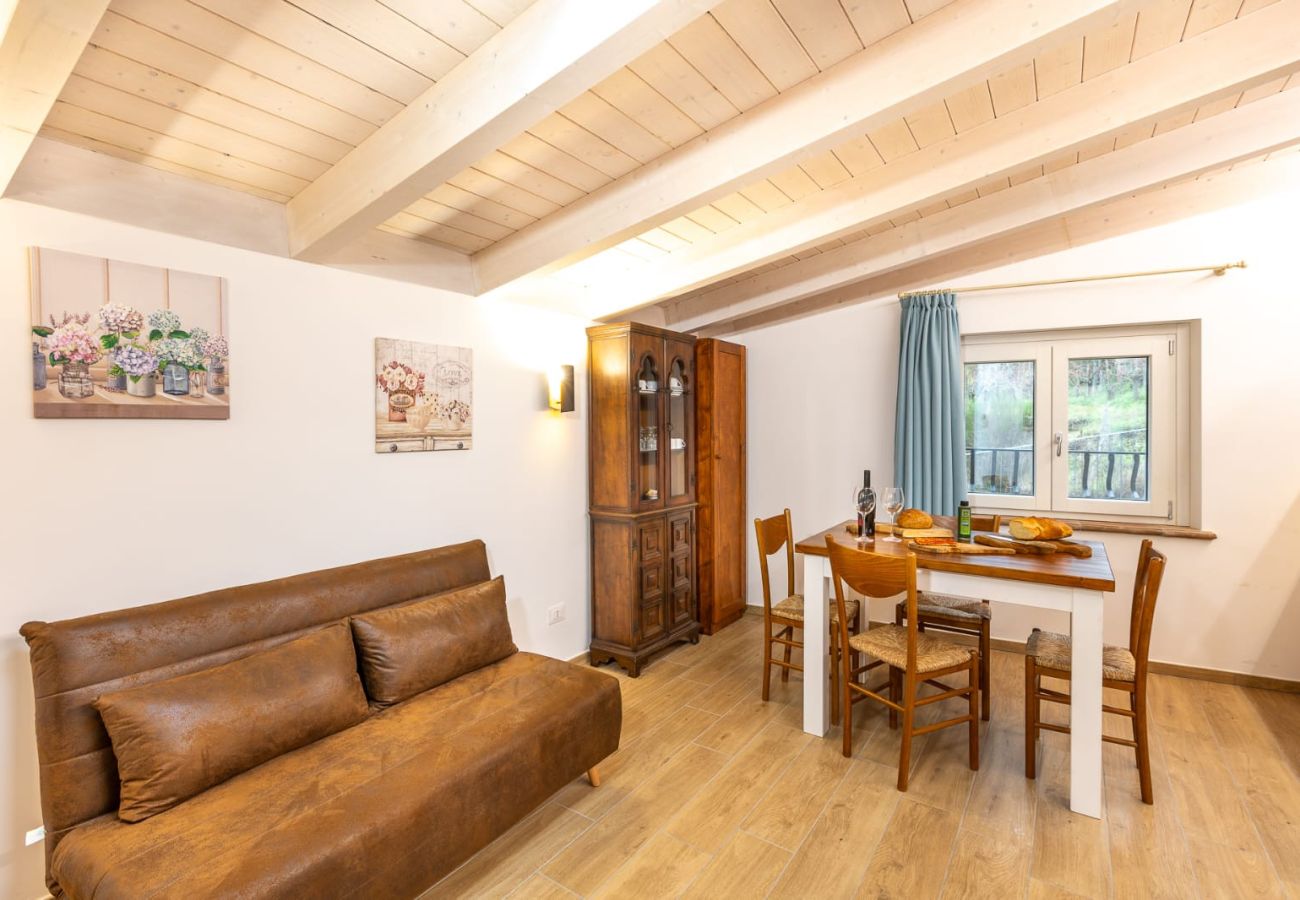 Farm stay in Bolsena - Le Vigne - Appartamento Fontana Vecchia