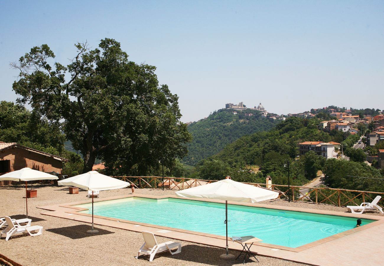 Apartment in Montefiascone - Agriturismo Montedoro - Casa Oliveto