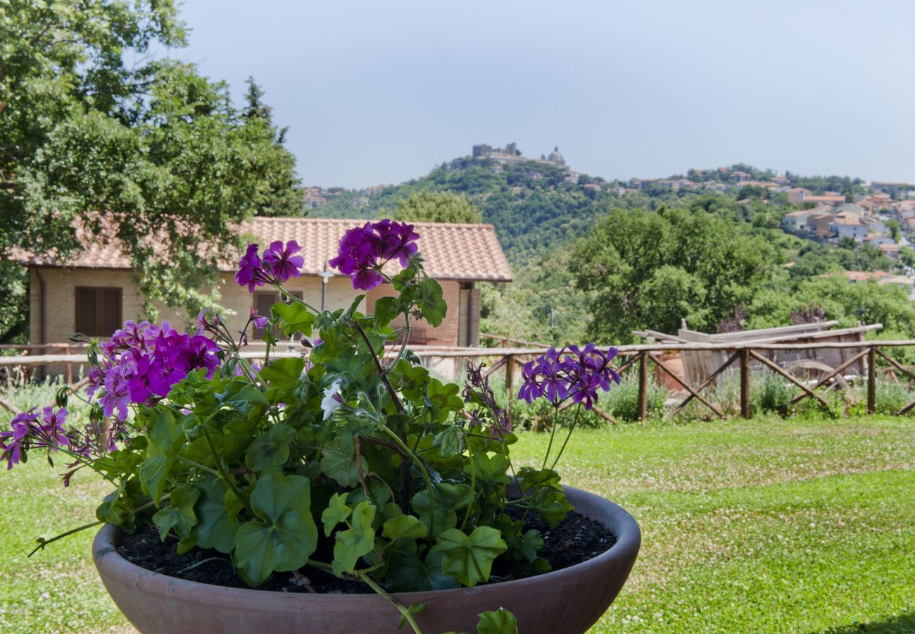 Apartment in Montefiascone - Agriturismo Montedoro - Casa Poggeri