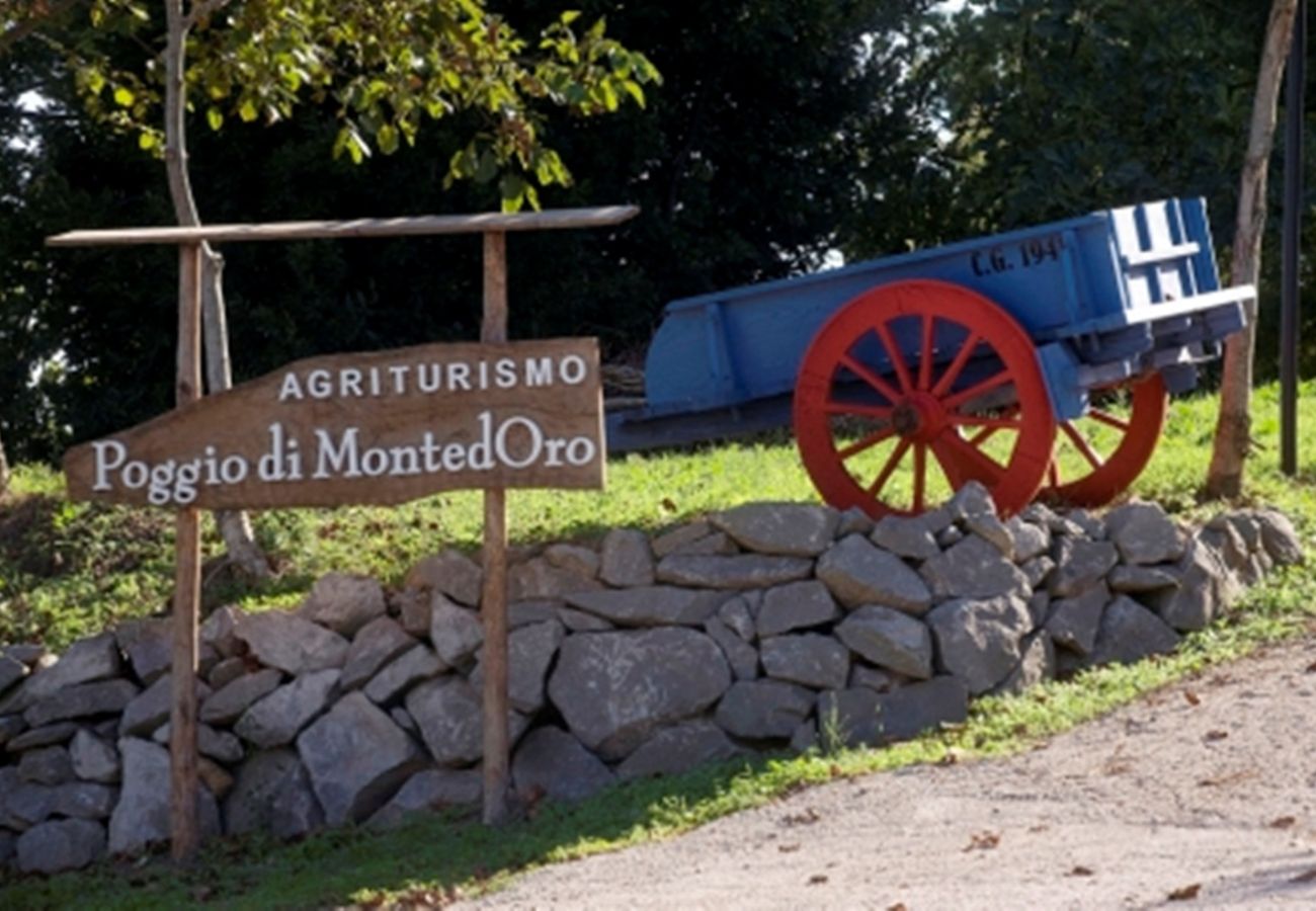 House in Montefiascone - Agriturismo Montedoro - Casale Salcia