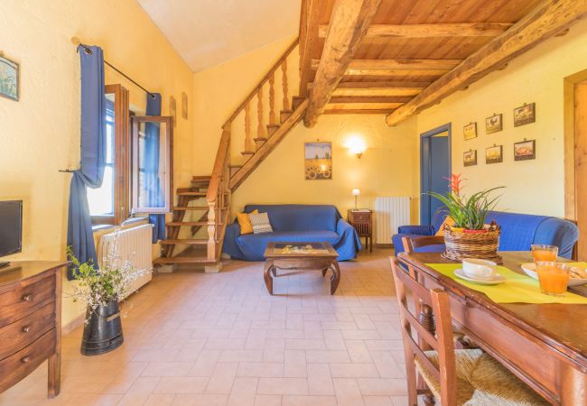 Apartment in Viterbo - Agriturismo Tenuta Serpepe - Girasole