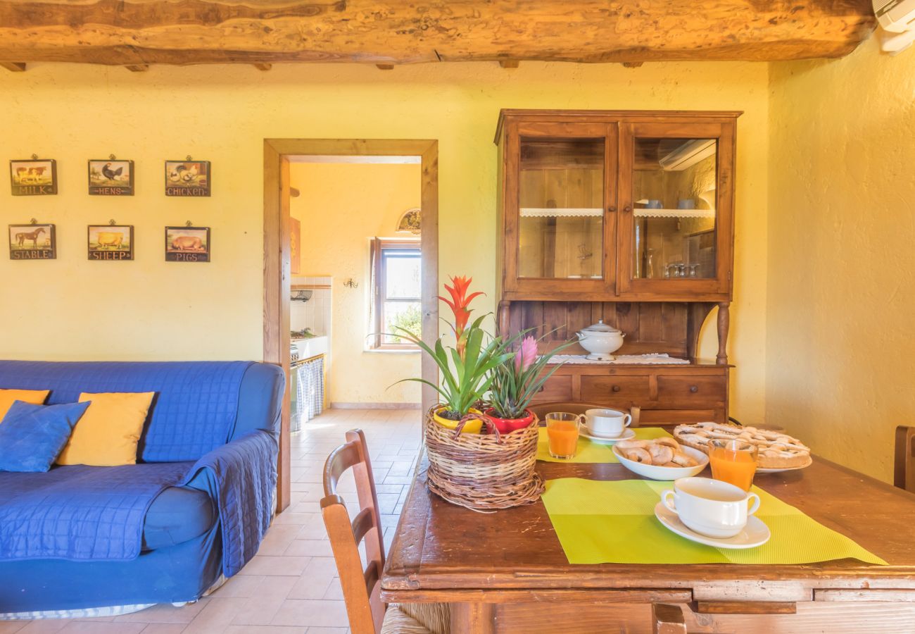 Apartment in Viterbo - Agriturismo Tenuta Serpepe - Girasole