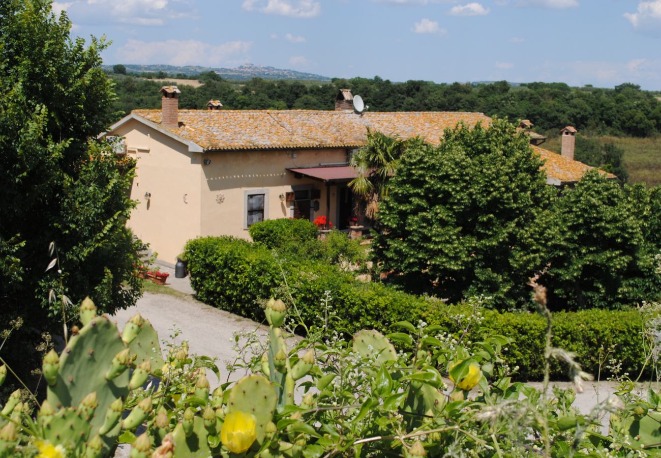 Apartment in Viterbo - Agriturismo Tenuta Serpepe - Grano