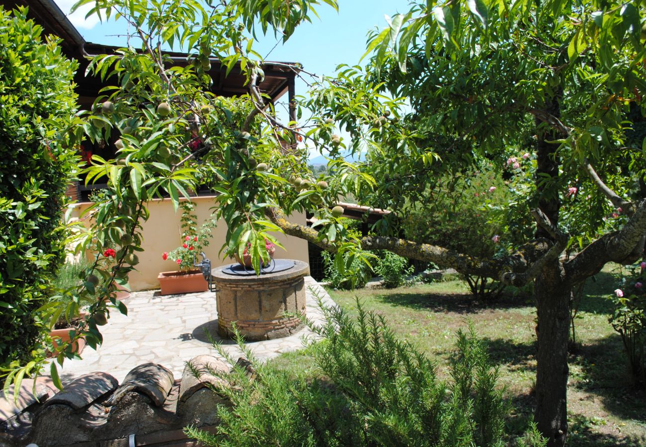 Apartment in Viterbo - Agriturismo Tenuta Serpepe - Grano